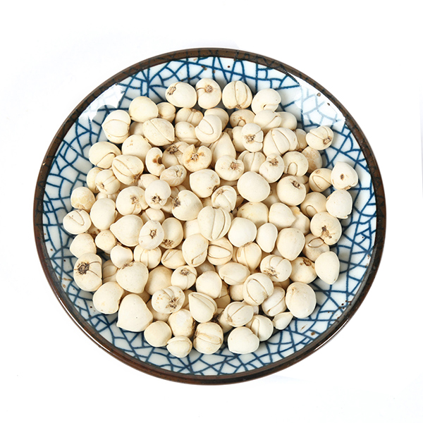 川贝母（松贝）