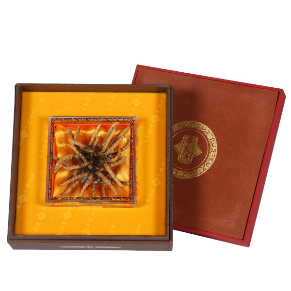 冬虫夏草【L-40#/10g单盒/盒】